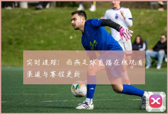 实时追踪：雨燕足球直播在线观看渠道与赛程更新
