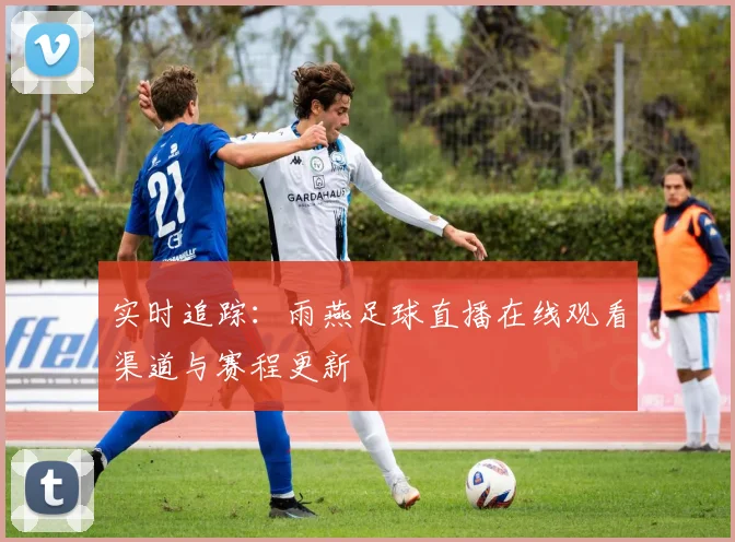 实时追踪：雨燕足球直播在线观看渠道与赛程更新
