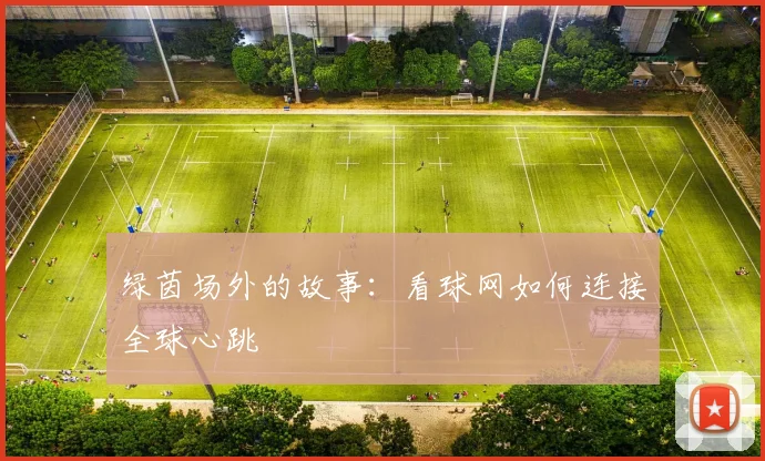 绿茵场外的故事：看球网如何连接全球心跳