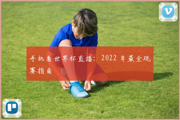 手机看世界杯直播：2022 年最全观赛指南