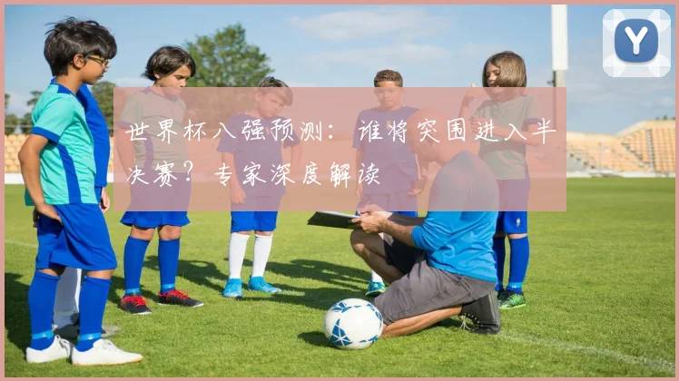 世界杯八强预测:谁将突围进入半决赛?专家深度解读